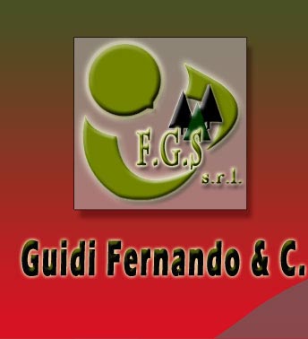 Logo: Guidi Fernando & C.